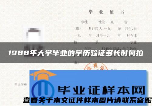 1988年大学毕业的学历验证多长时间拍