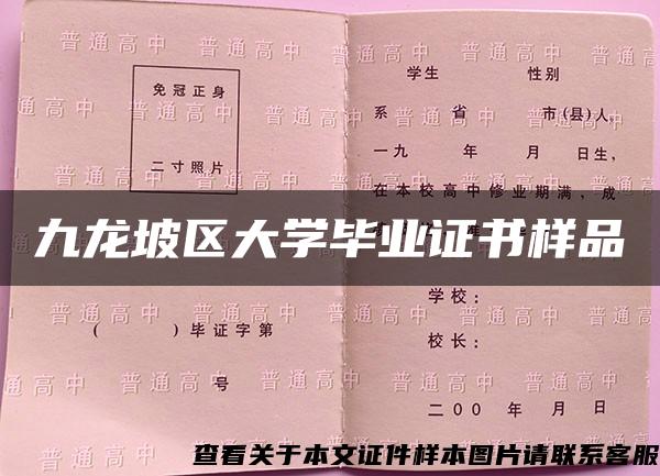 九龙坡区大学毕业证书样品