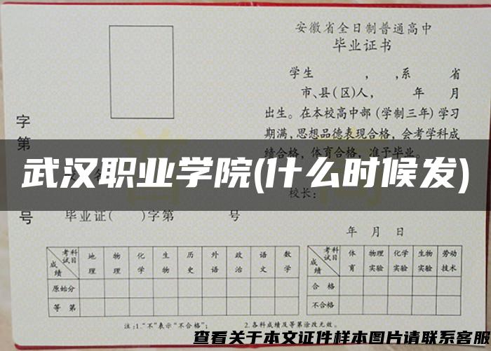 武汉职业学院(什么时候发)