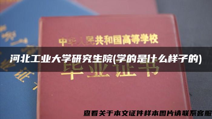 河北工业大学研究生院(学的是什么样子的)