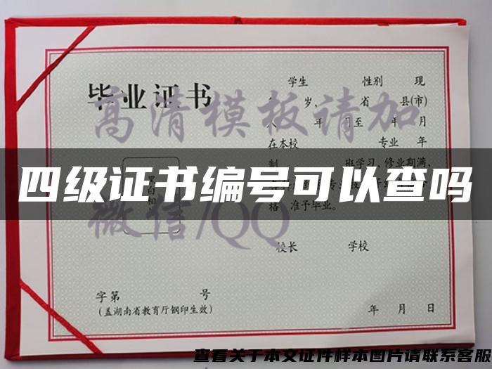 四级证书编号可以查吗