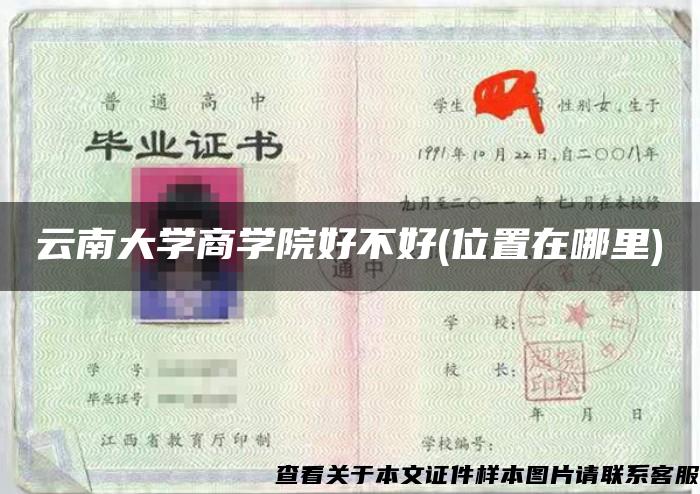 云南大学商学院好不好(位置在哪里)