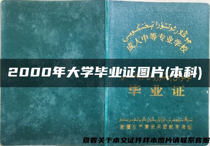 2000年大学毕业证图片(本科)