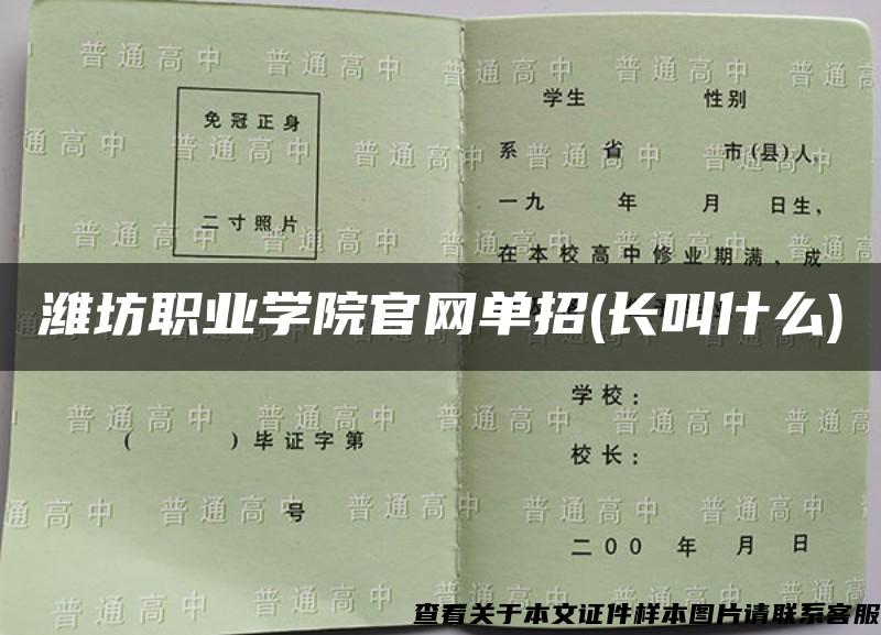 潍坊职业学院官网单招(长叫什么)