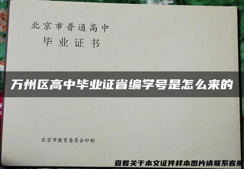 万州区高中毕业证省编学号是怎么来的