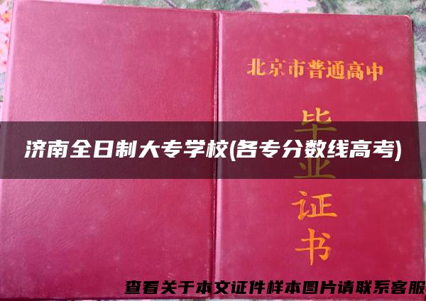 济南全日制大专学校(各专分数线高考)