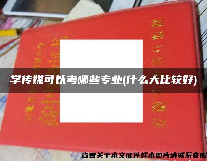 学传媒可以考哪些专业(什么大比较好)