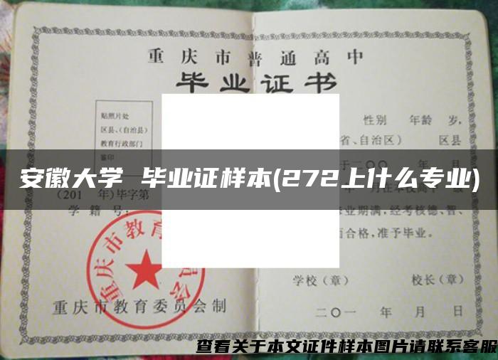 安徽大学 毕业证样本(272上什么专业)