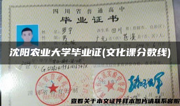 沈阳农业大学毕业证(文化课分数线)