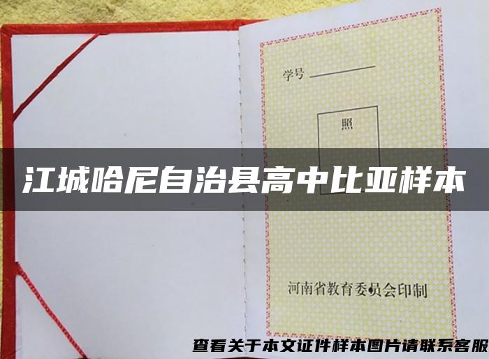 江城哈尼自治县高中比亚样本