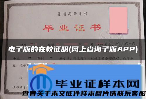 电子版的在校证明(网上查询子版APP)