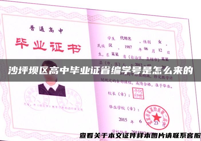 沙坪坝区高中毕业证省编学号是怎么来的