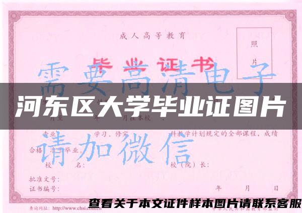 河东区大学毕业证图片