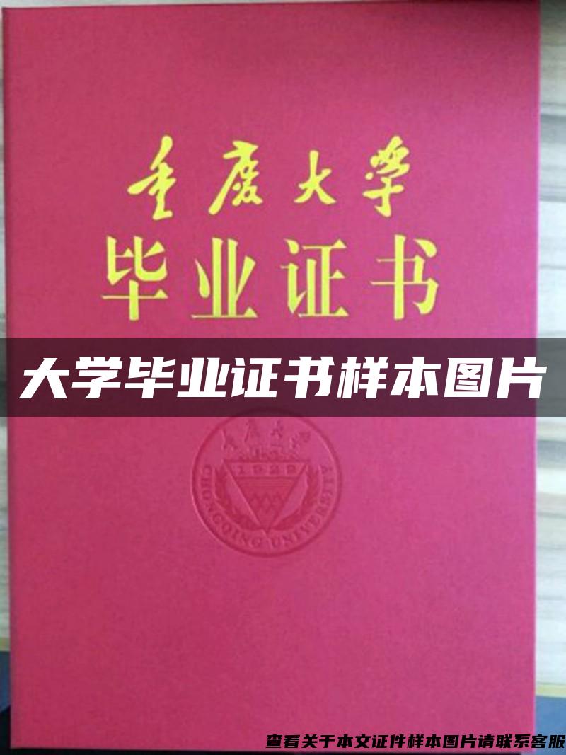 大学毕业证书样本图片