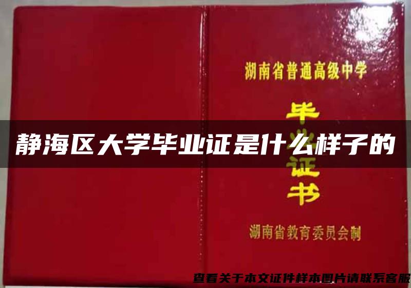 静海区大学毕业证是什么样子的