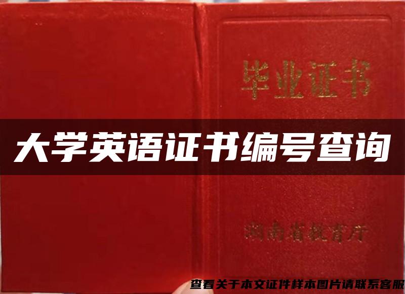 大学英语证书编号查询