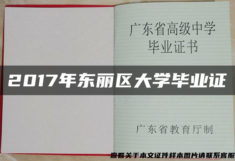 2017年东丽区大学毕业证