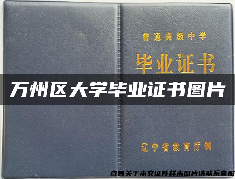 万州区大学毕业证书图片