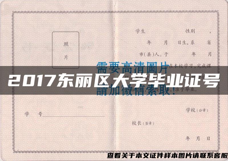 2017东丽区大学毕业证号