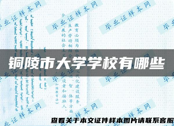 铜陵市大学学校有哪些