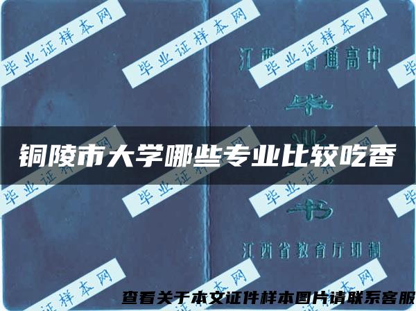 铜陵市大学哪些专业比较吃香