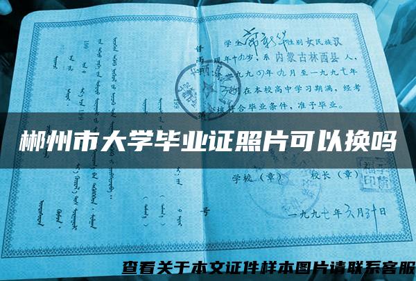 郴州市大学毕业证照片可以换吗