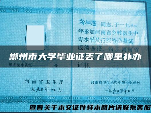 郴州市大学毕业证丢了哪里补办