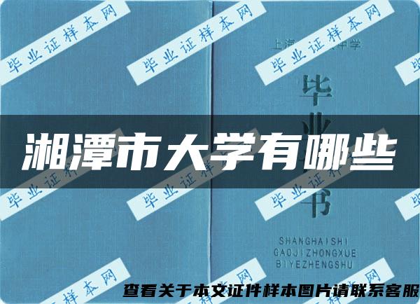 湘潭市大学有哪些