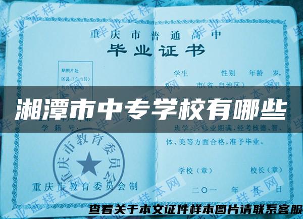 湘潭市中专学校有哪些