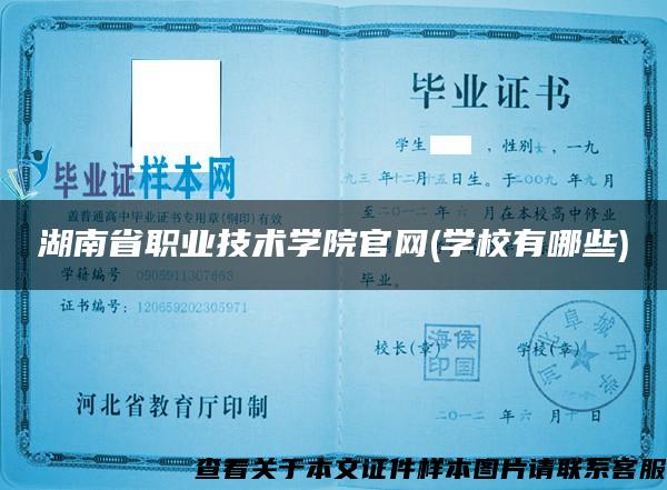 湖南省职业技术学院官网(学校有哪些)