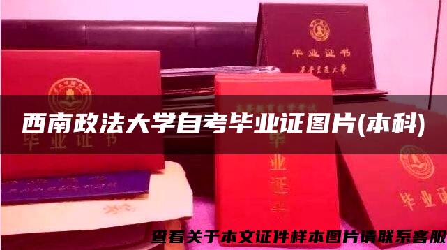 西南政法大学自考毕业证图片(本科)