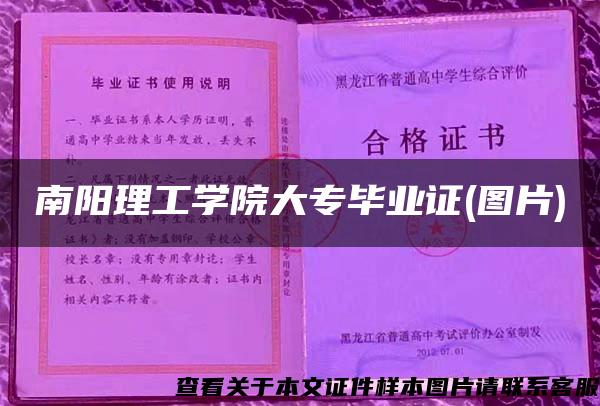 南阳理工学院大专毕业证(图片)