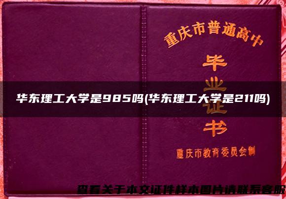 华东理工大学是985吗(华东理工大学是211吗)