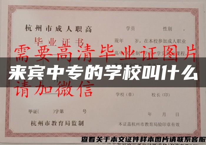 来宾中专的学校叫什么