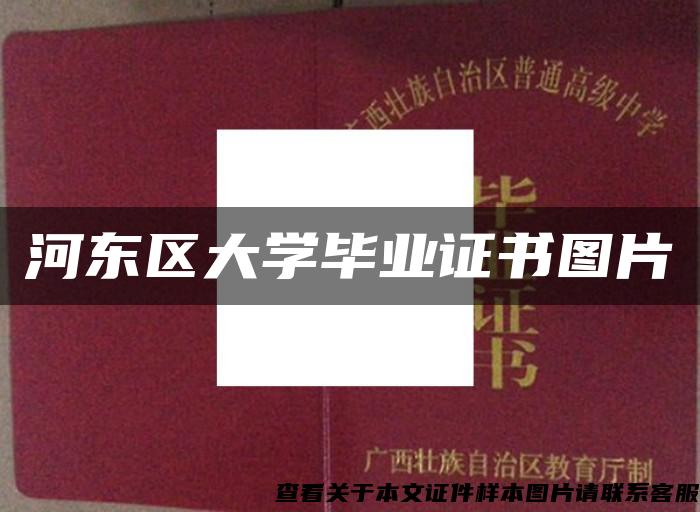 河东区大学毕业证书图片