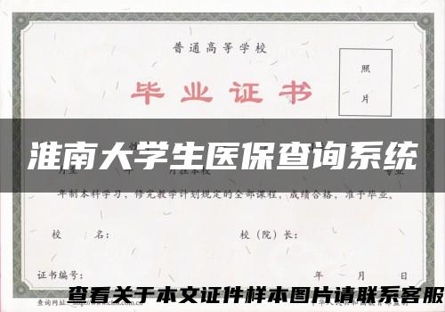 淮南大学生医保查询系统