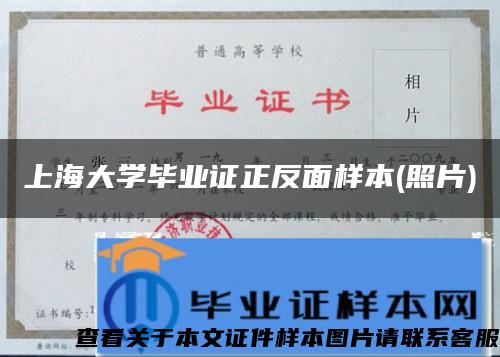 上海大学毕业证正反面样本(照片)