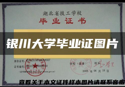 银川大学毕业证图片