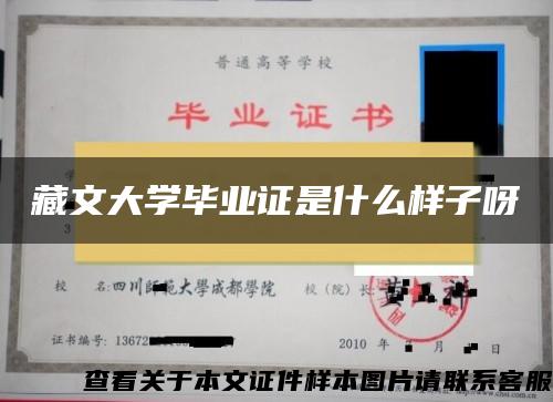 藏文大学毕业证是什么样子呀