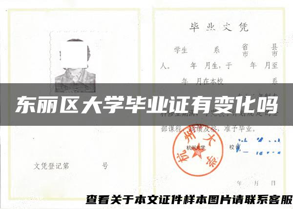 东丽区大学毕业证有变化吗