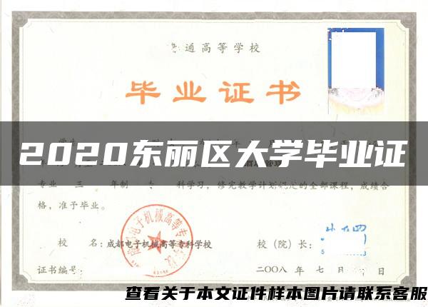 2020东丽区大学毕业证