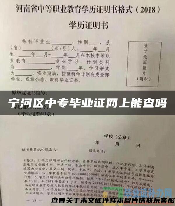 宁河区中专毕业证网上能查吗