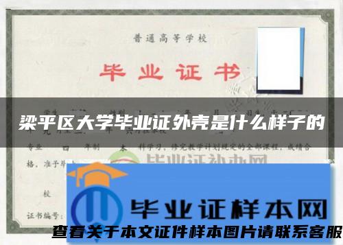 梁平区大学毕业证外壳是什么样子的