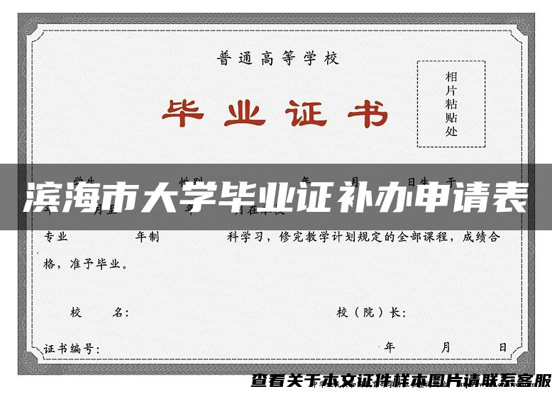 滨海市大学毕业证补办申请表