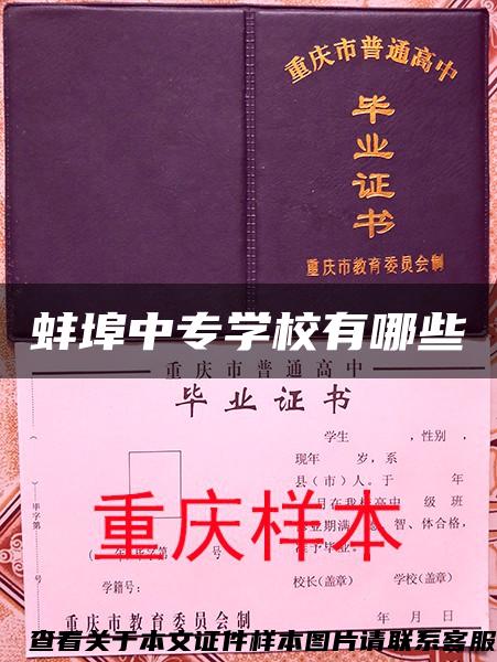 蚌埠中专学校有哪些