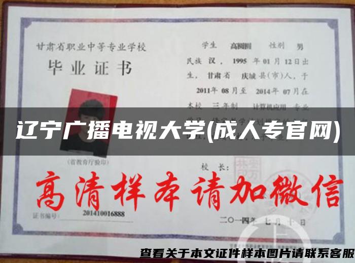 辽宁广播电视大学(成人专官网)