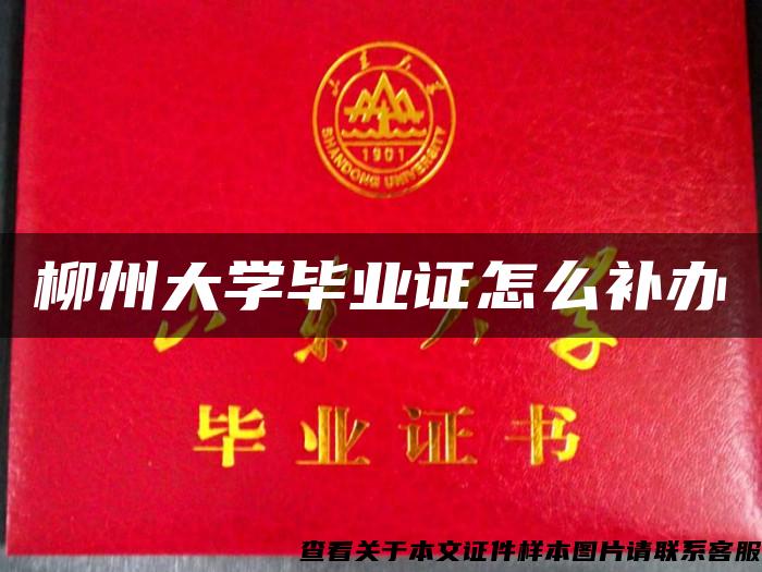 柳州大学毕业证怎么补办