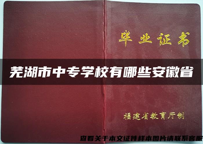 芜湖市中专学校有哪些安徽省