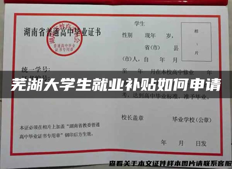 芜湖大学生就业补贴如何申请