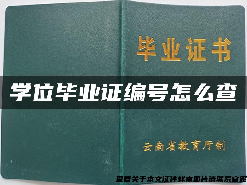 学位毕业证编号怎么查